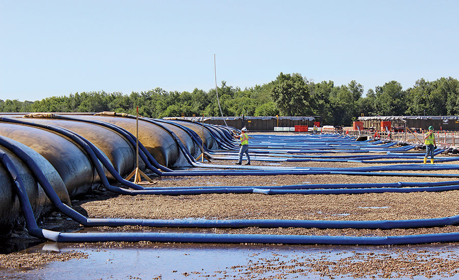 Water quality testing